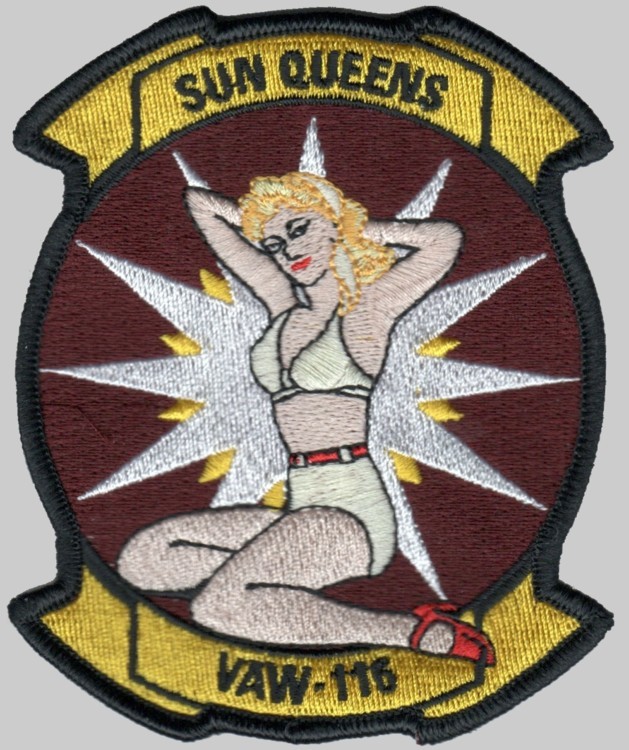 vaw-116 sun kings insignia crest patch badge airborne command control squadron us navy 03p