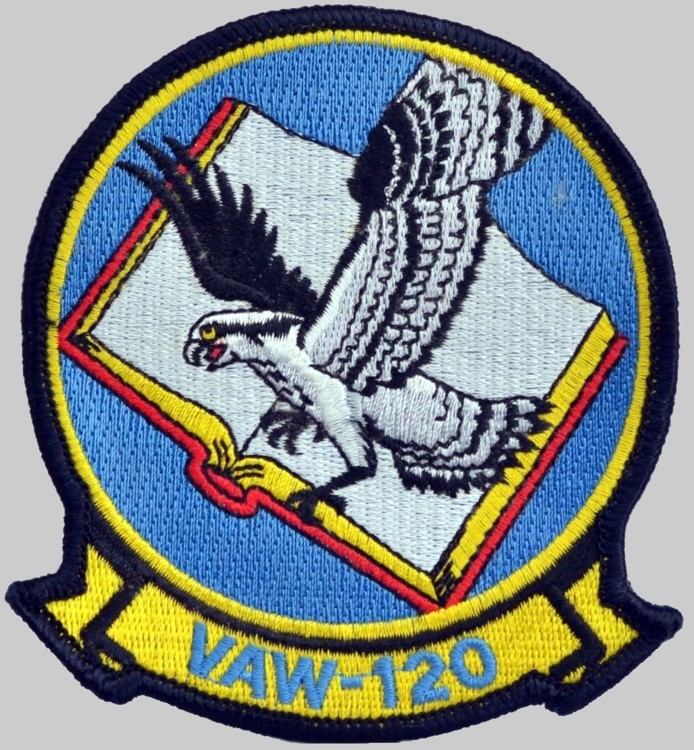 vaw-120 greyhawks insignia crest patch badge airborne command control squadron e-2c e-2d advanced hawkeye c-2a greyhound navy 04p
