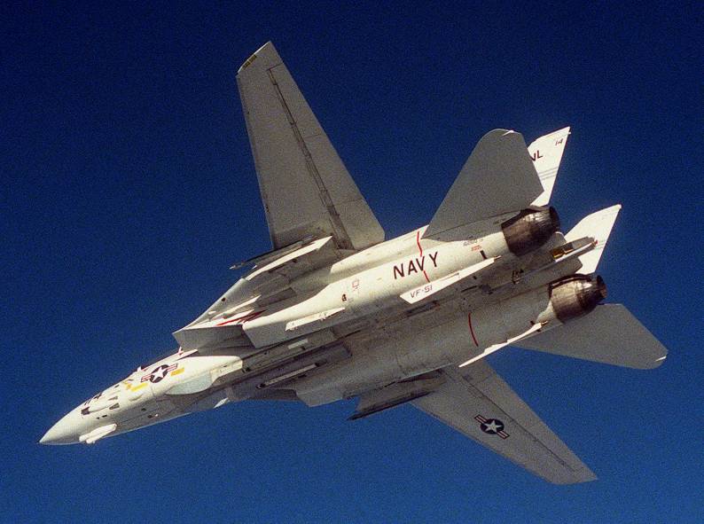 vf-51 screaming eagles f-14a tomcat carrier air wing cvw-15