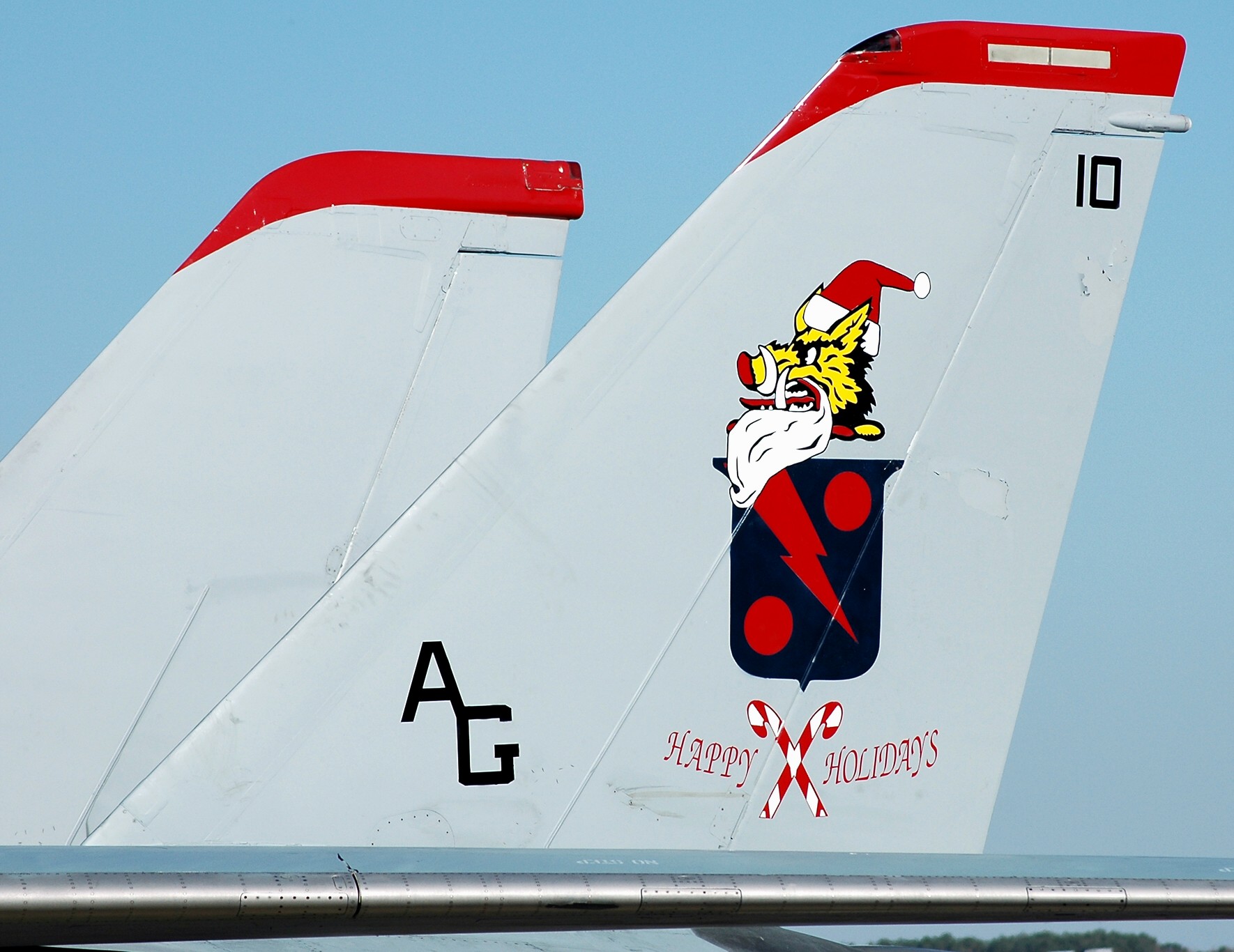 vf-11 red rippers fighter squadron us navy fitron f-14b tomcat carrier air wing cvw-7 nas oceana virginia 50