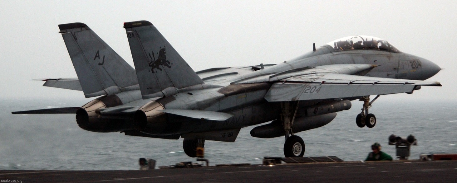 vf-213 black lions fighter squadron us navy f-14d tomcat carrier air wing cvw-8 uss theodore roosevelt cvn-71 20