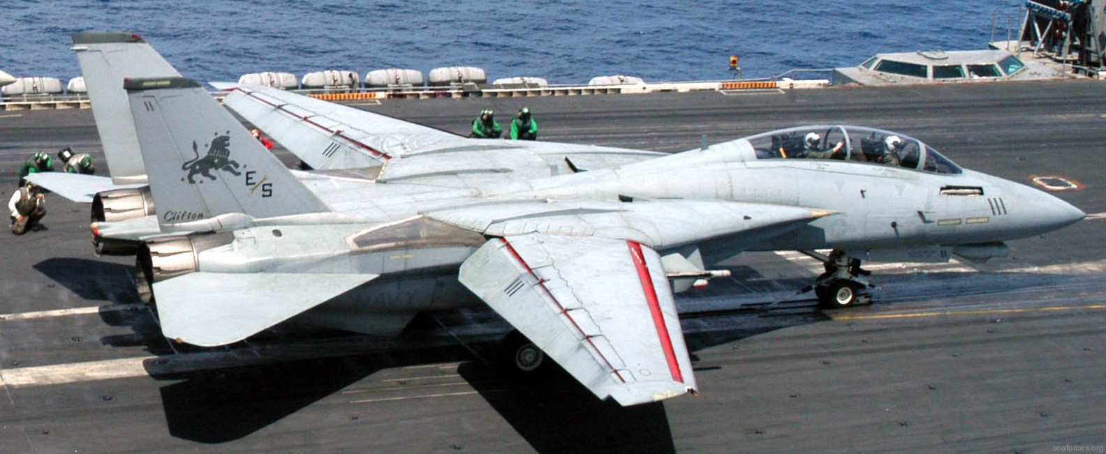 vf-213 black lions fighter squadron us navy f-14d tomcat carrier air wing cvw-8 uss theodore roosevelt cvn-71 46