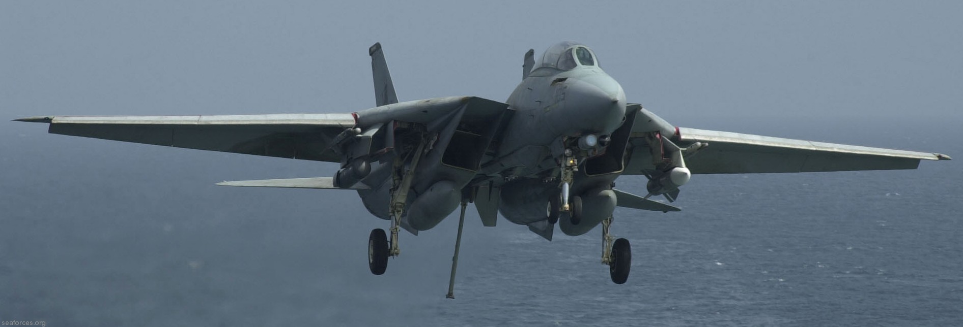 vf-213 black lions fighter squadron us navy f-14d tomcat carrier air wing cvw-11 uss carl vinson cvn-70 91