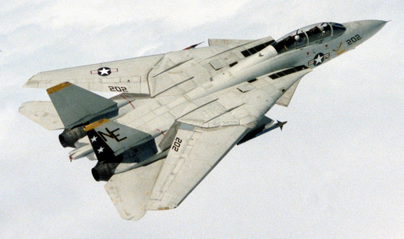 vf-2 bounty hunters fighter squadron fitron f-14a tomcat carrier air wing cvw-2 uss ranger cv-61 81a