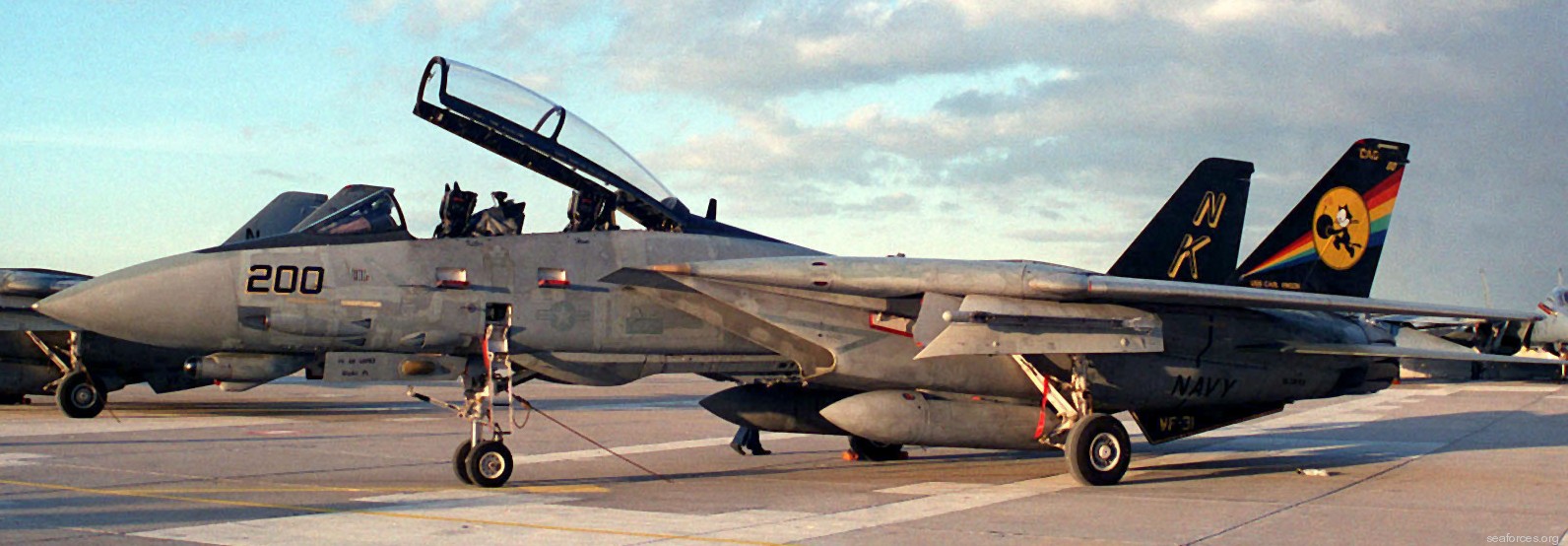 vf-31 tomcatters fighter squadron navy f-14d tomcat cvw-14 112