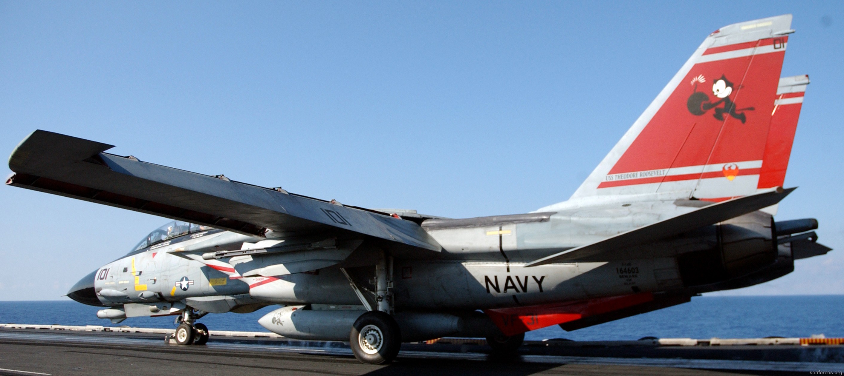 vf-31 tomcatters fighter squadron navy f-14d tomcat cvw-8 uss theodore roosevelt cvn-71 76