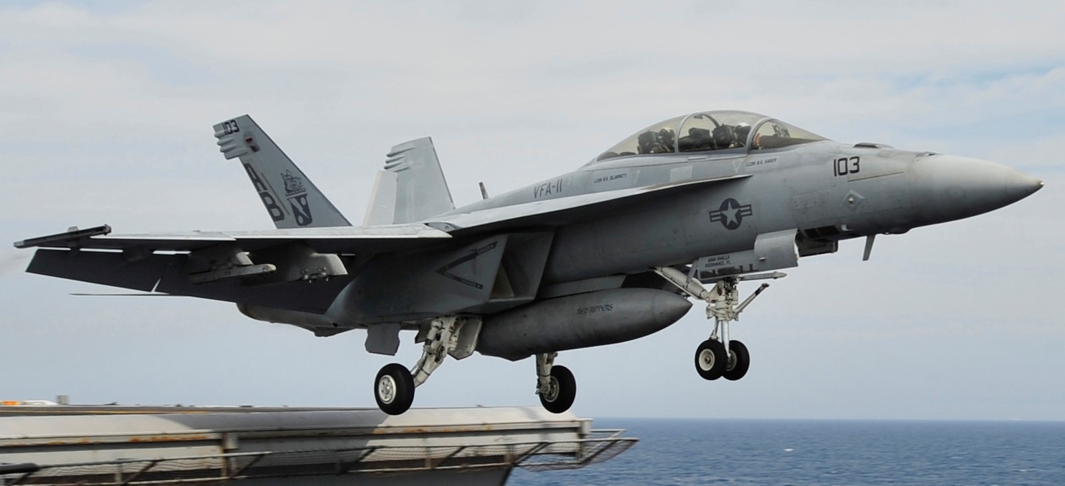 vfa-11 red rippers strike fighter squadron us navy f/a-18f super hornet carrier air wing cvw-1 uss enterprise cvn-65 50