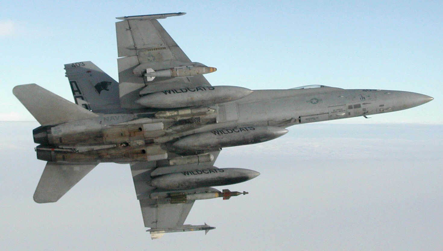 vfa-131 wildcats strike fighter squadron f/a-18c hornet cvw-7 uss john f. kennedy cv-67 2002 03