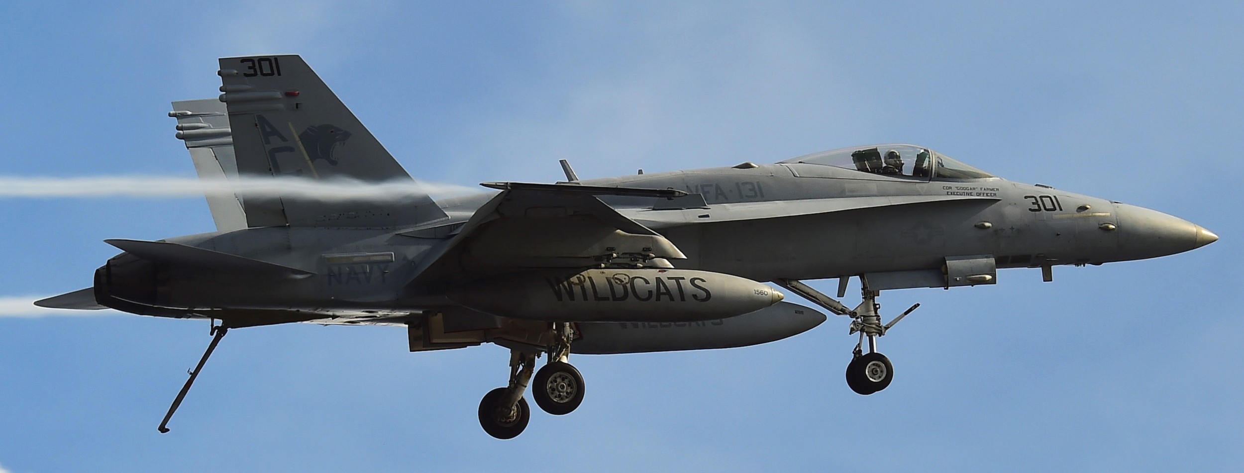 vfa-131 wildcats strike fighter squadron f/a-18c hornet cvw-3 uss dwight d. eisenhower cvn-69 2015 40