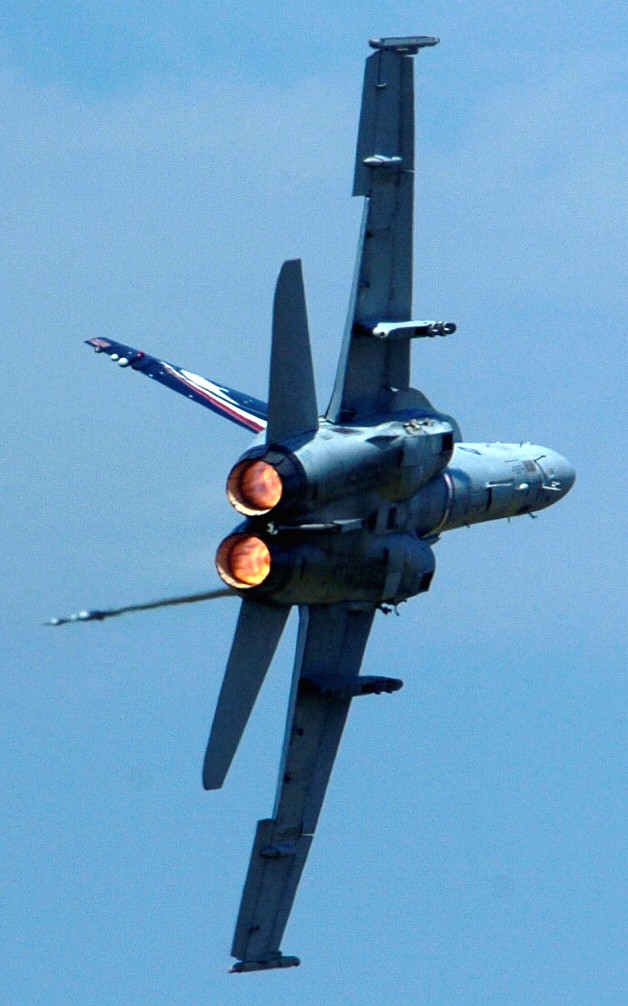 vfa-131 wildcats strike fighter squadron f/a-18c hornet cvw-7 nas oceana virginia 2005 105