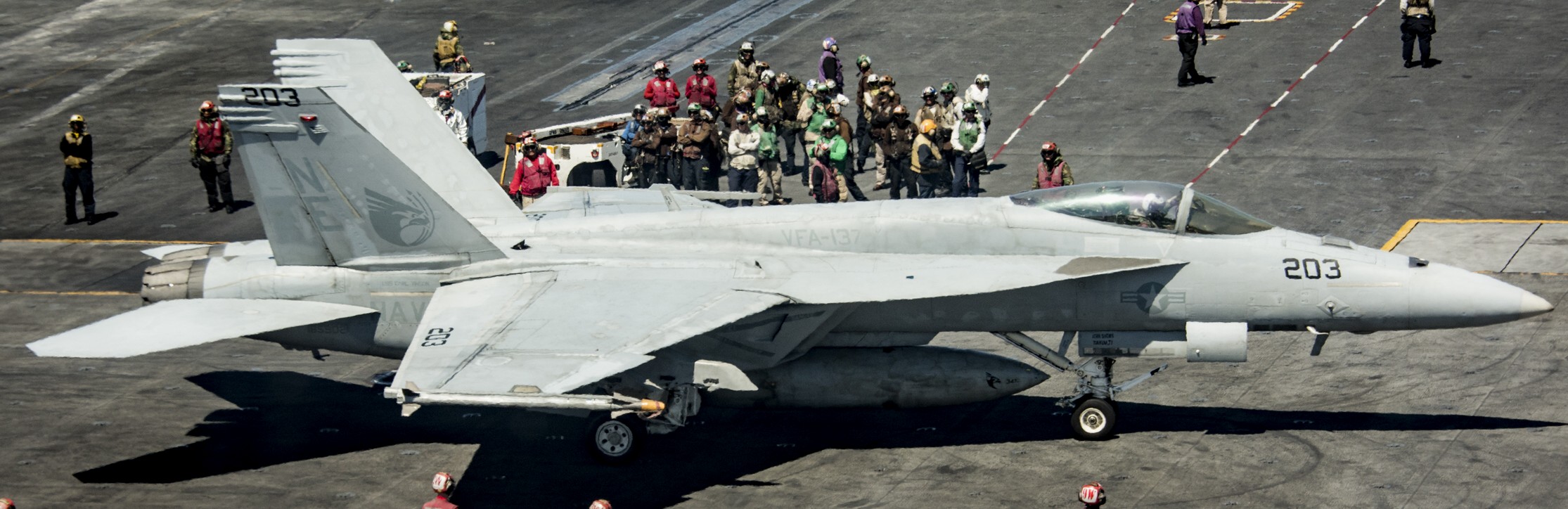 vfa-137 kestrels strike fighter squadron f/a-18e super hornet 2017 06 cvw-2 uss carl vinson cvn-70