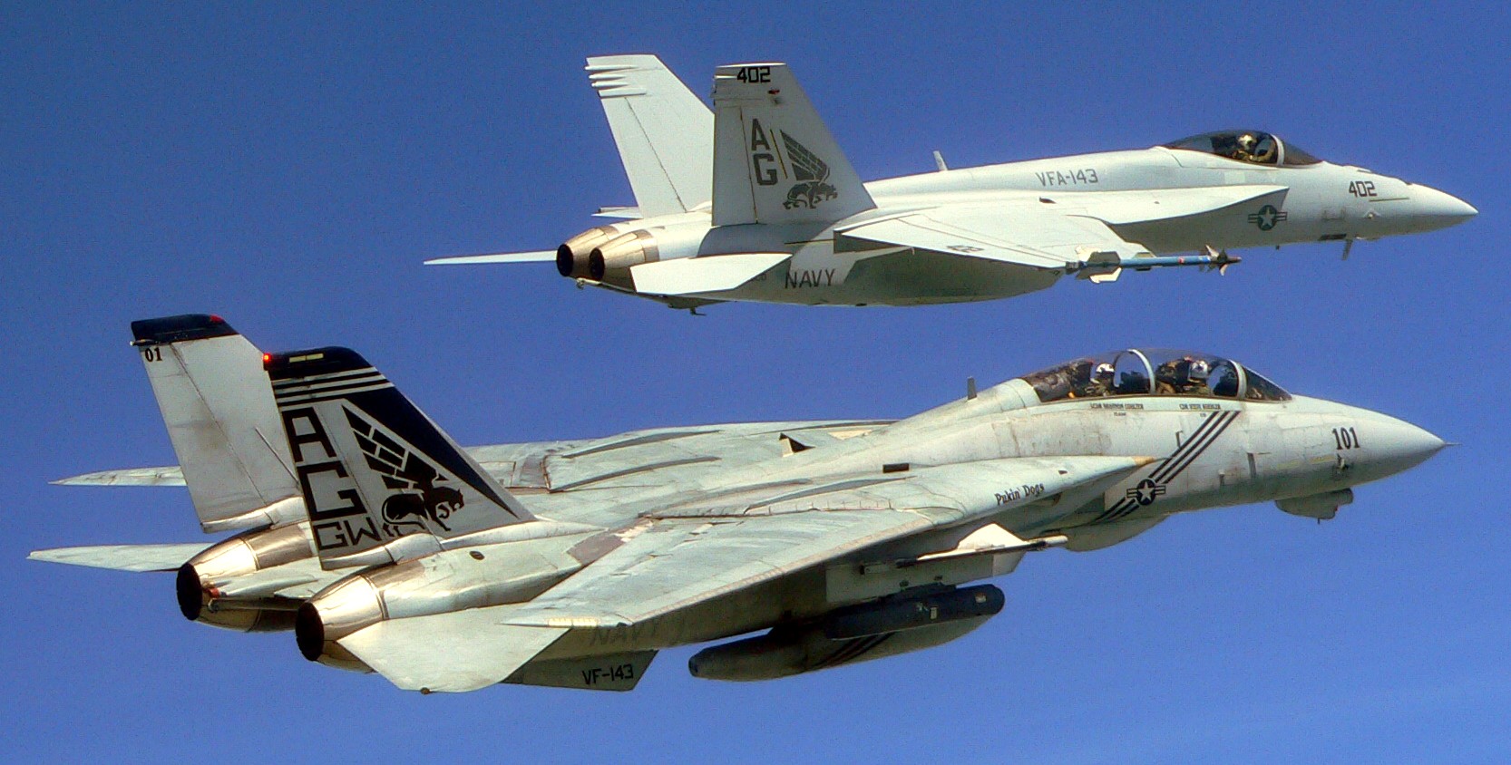 vfa-143 pukin dogs strike fighter squadron f/a-18e super hornet f-14b tomcat vf-143 key west florida 2005 74