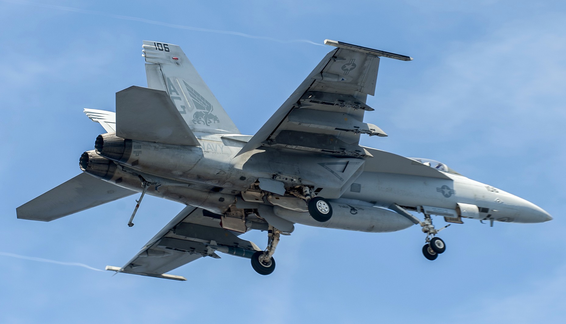 vfa-143 pukin dogs strike fighter squadron f/a-18e super hornet us navy nas oceana virginia