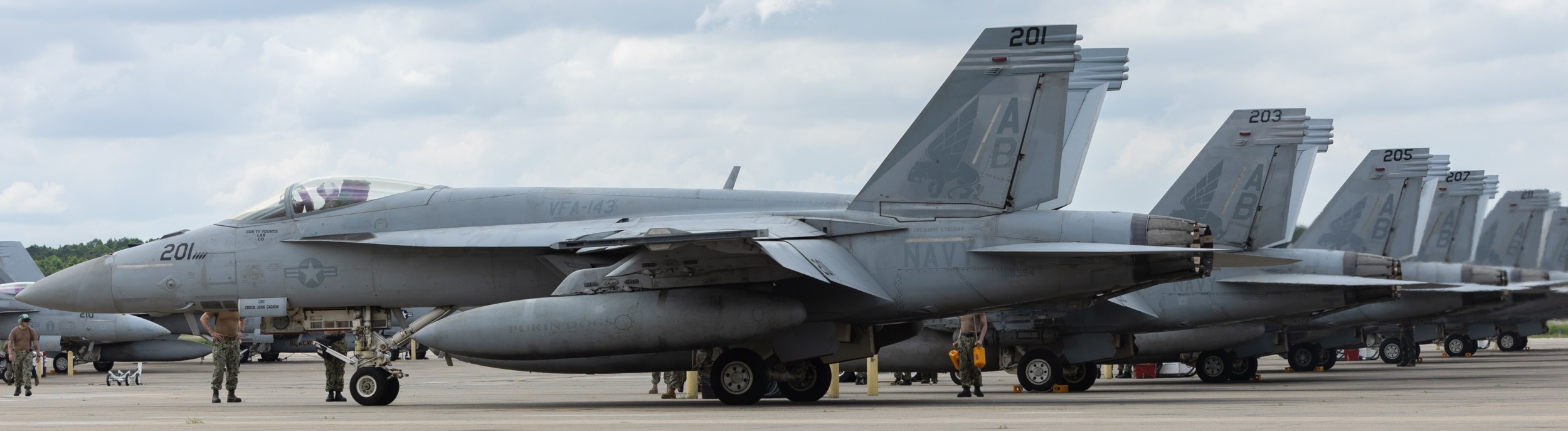 vfa-143 pukin dogs strike fighter squadron f/a-18e super hornet nas oceana virginia 2025 108