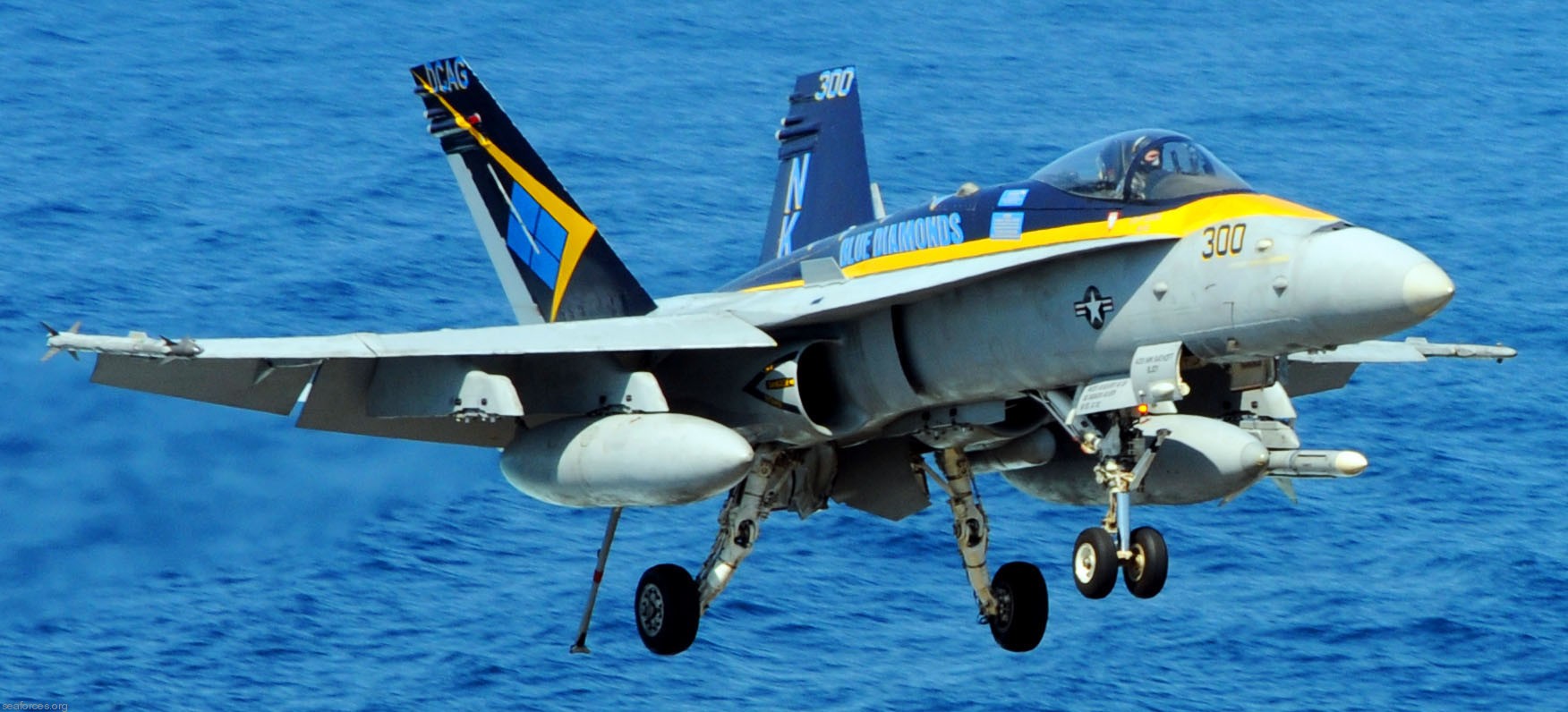 vfa-146 blue diamonds strike fighter squadron f/a-18c hornet carrier air wing cvw-14 uss ronald reagan cvn-76