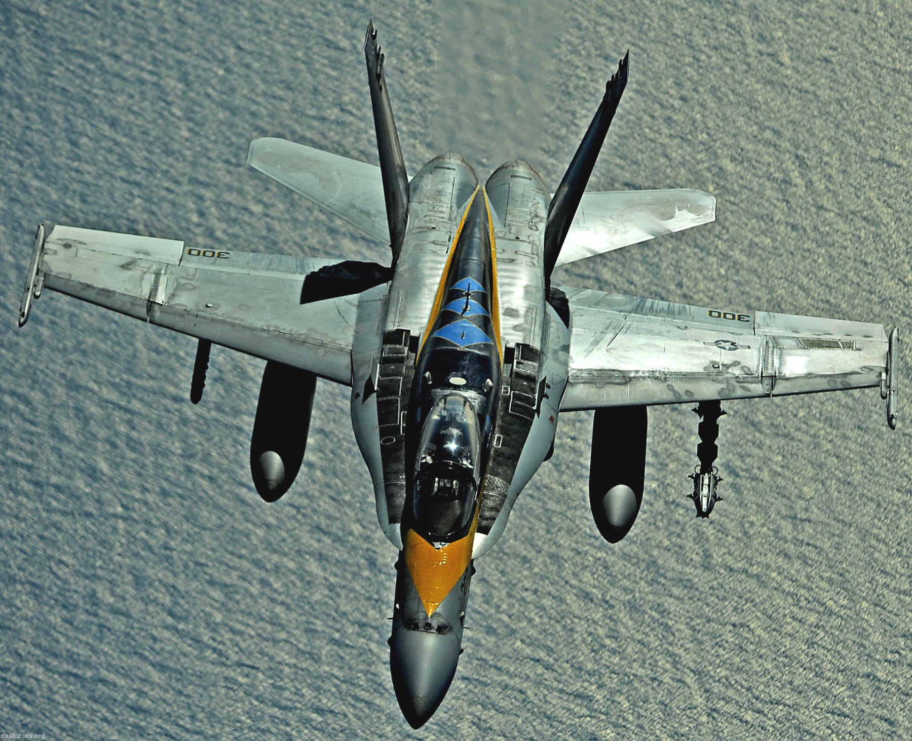 vfa-146 blue diamonds strike fighter squadron f/a-18c hornet carrier air wing cvw-14 uss ronald reagan cvn-76 98