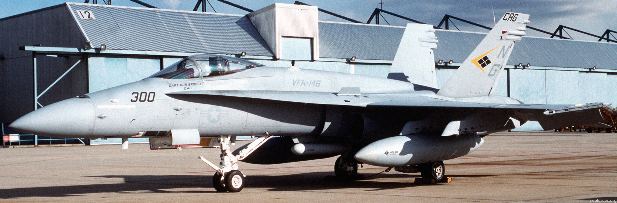 vfa-146 blue diamonds strike fighter squadron f/a-18c hornet carrier air wing cvw-9 nas lemoore california 157