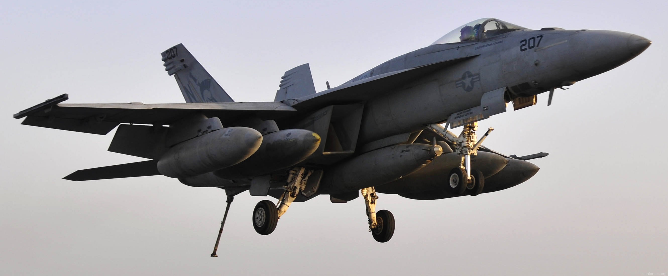 vfa-147 argonauts f/a-18e super hornet strike fighter squadron cvw-14 uss ronald reagan cvn-76 141