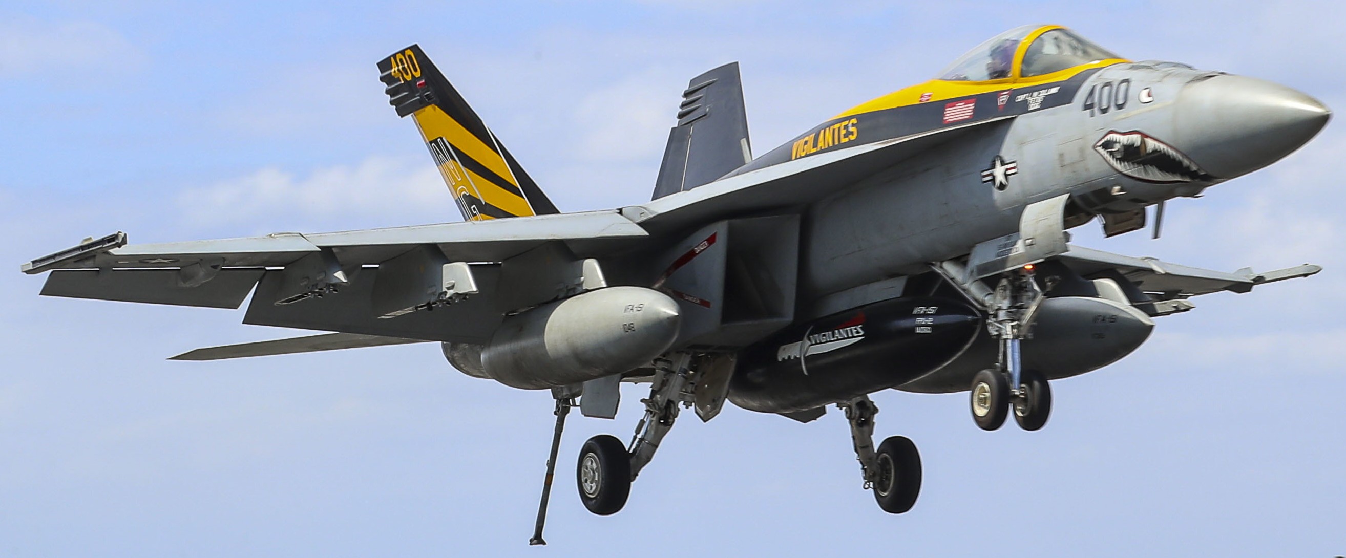 VFA-151 Vigilantes Strike Fighter Squadron US Navy F/A-18E
