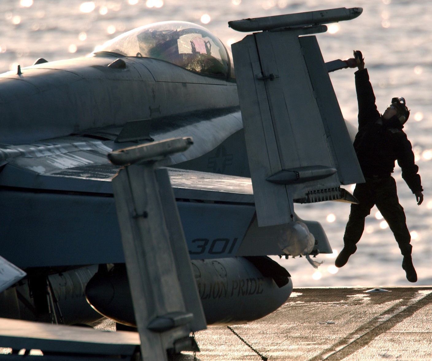 vfa-15 valions strike fighter squadron f/a-18c hornet cvn-71 uss theodore roosevelt cvw-8 us navy 74p