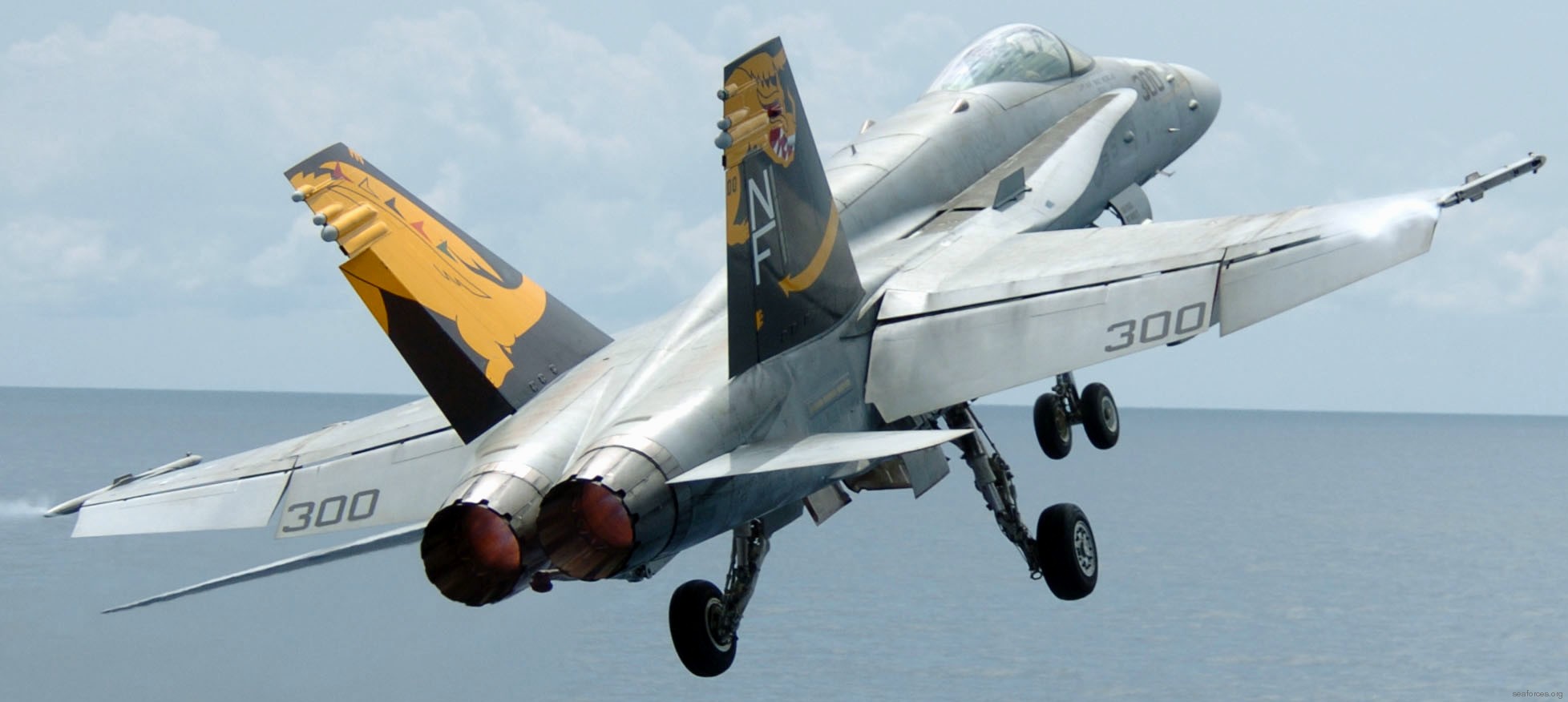 vfa-192 golden dragons strike fighter squadron navy f/a-18c hornet carrier air wing cvw-5 uss kitty hawk cv-63 67