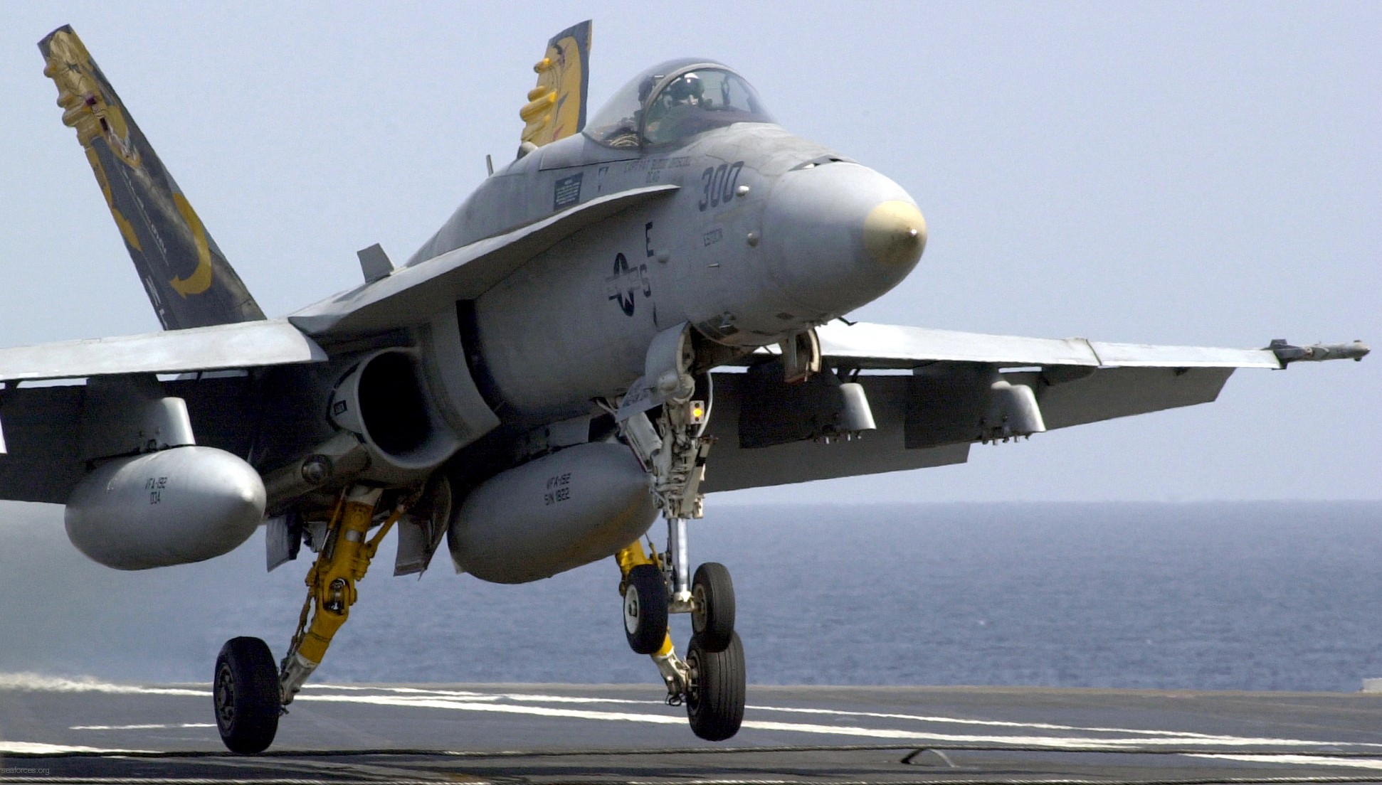 vfa-192 golden dragons strike fighter squadron navy f/a-18c hornet carrier air wing cvw-5 uss kitty hawk cv-63 82