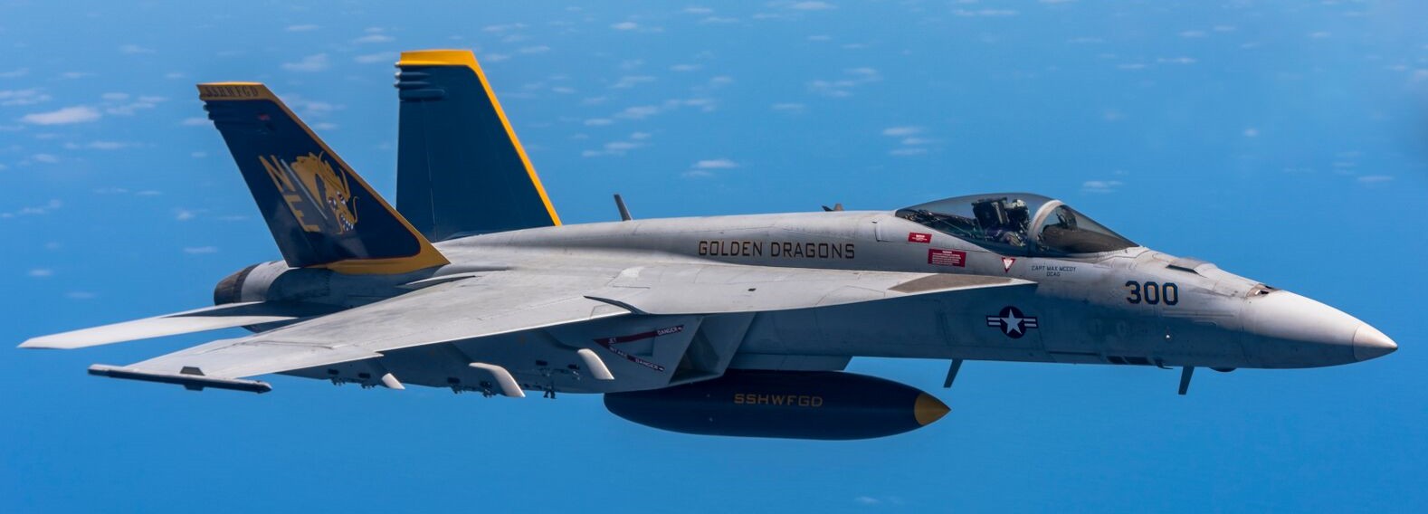 vfa-192 golden dragons strike fighter squadron navy f/a-18e super hornet carrier air wing cvw-2 uss george washington cvn-73 90