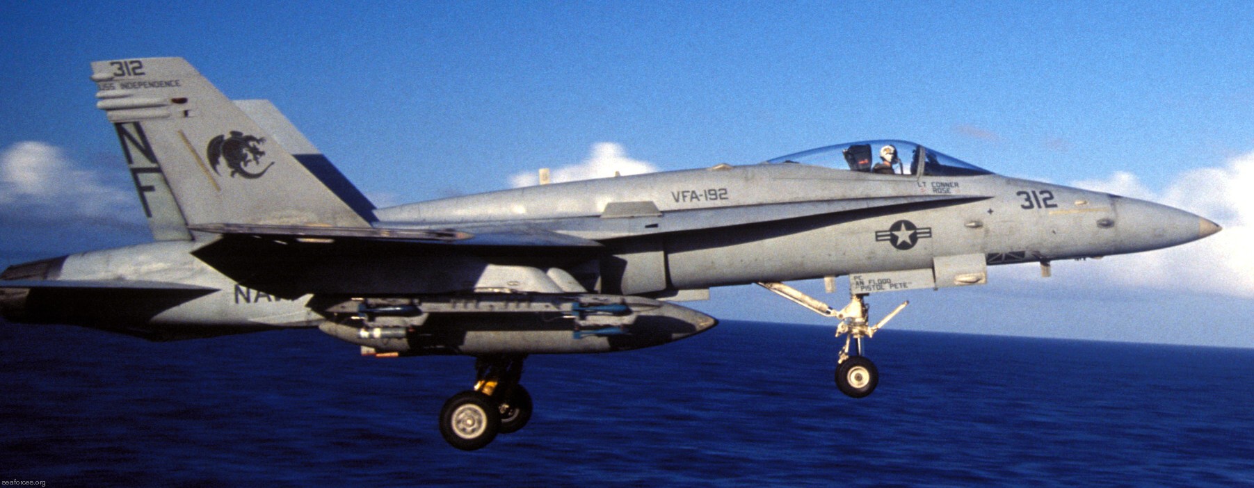 vfa-192 golden dragons strike fighter squadron navy f/a-18c hornet carrier air wing cvw-5 uss independence cv-62 117