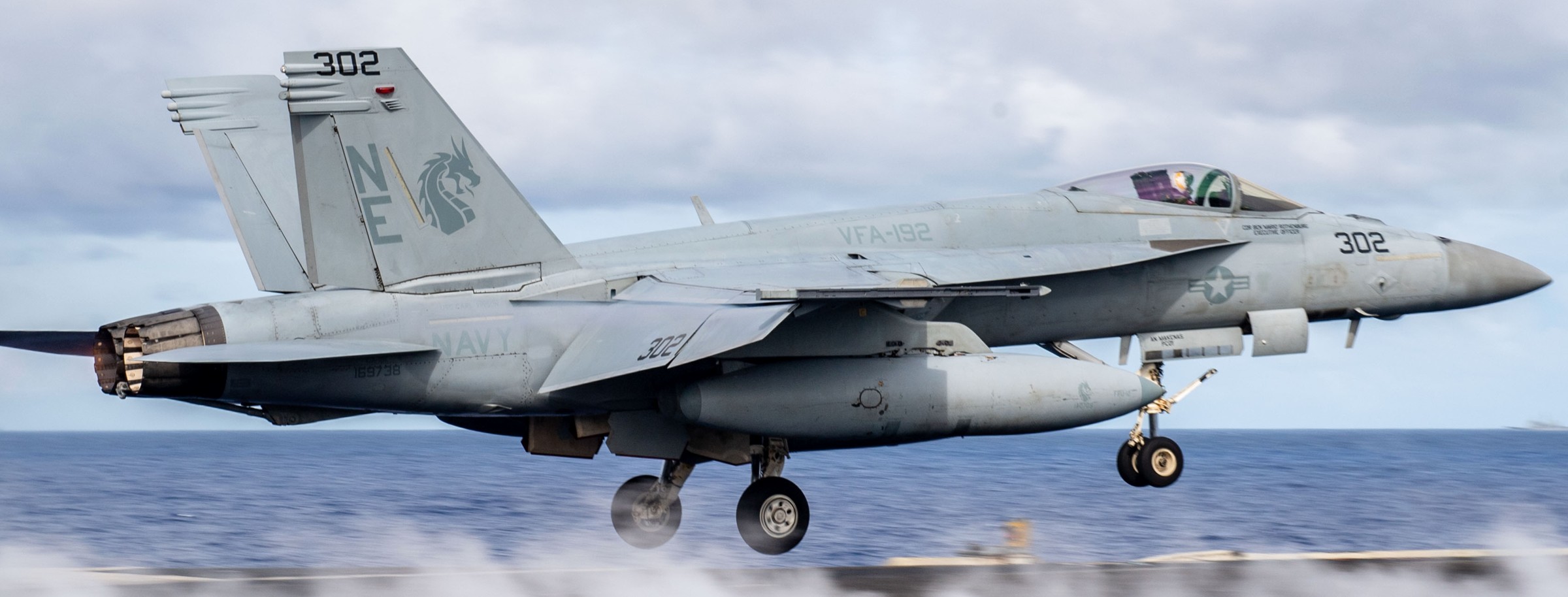 vfa-192 golden dragons f/a-18e super hornet strike fighter squadron cvn-70 uss carl vinson 221