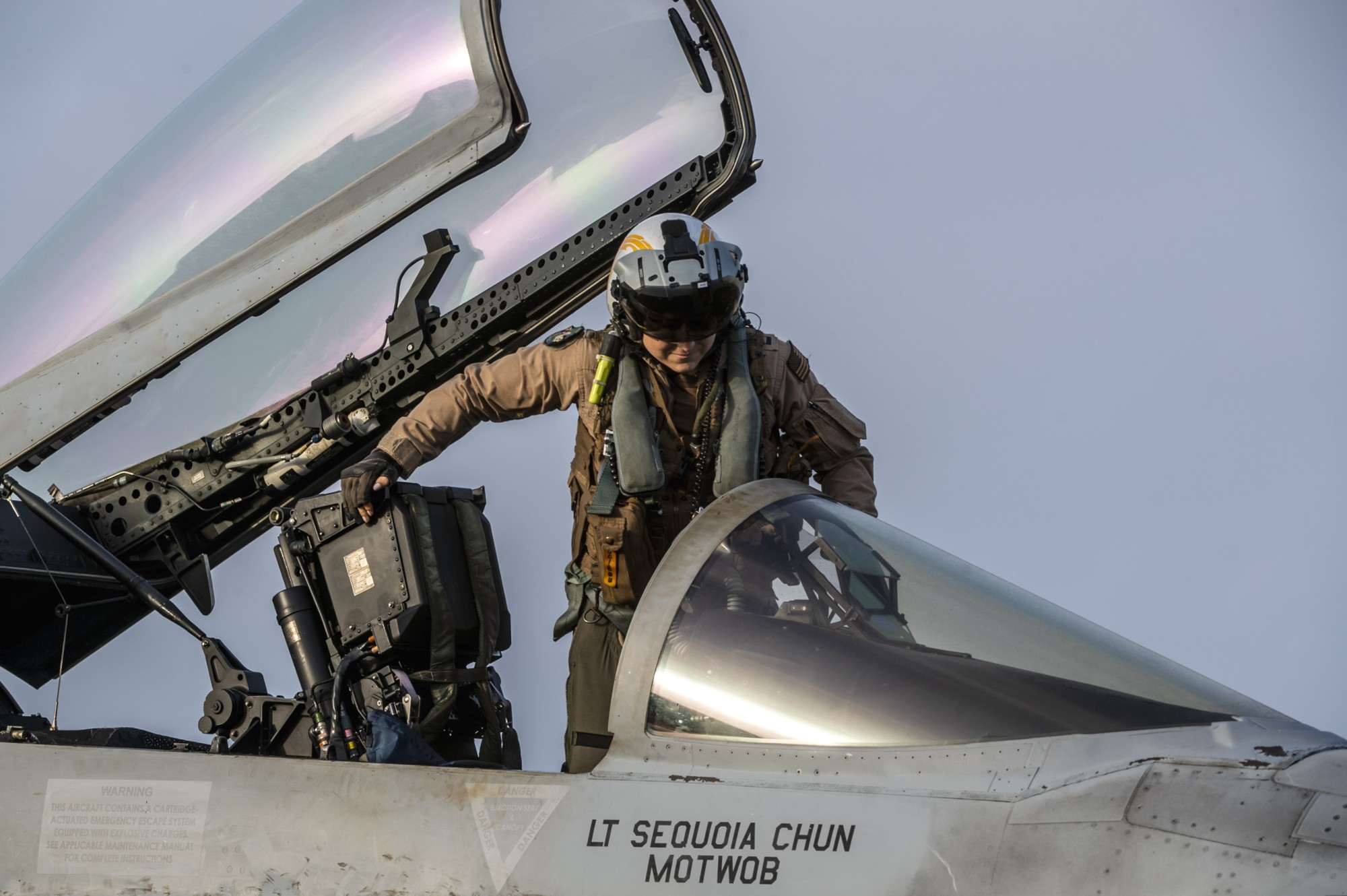 vfa-192 golden dragons f/a-18e super hornet strike fighter squadron cvn-70 uss carl vinson cockpit 223