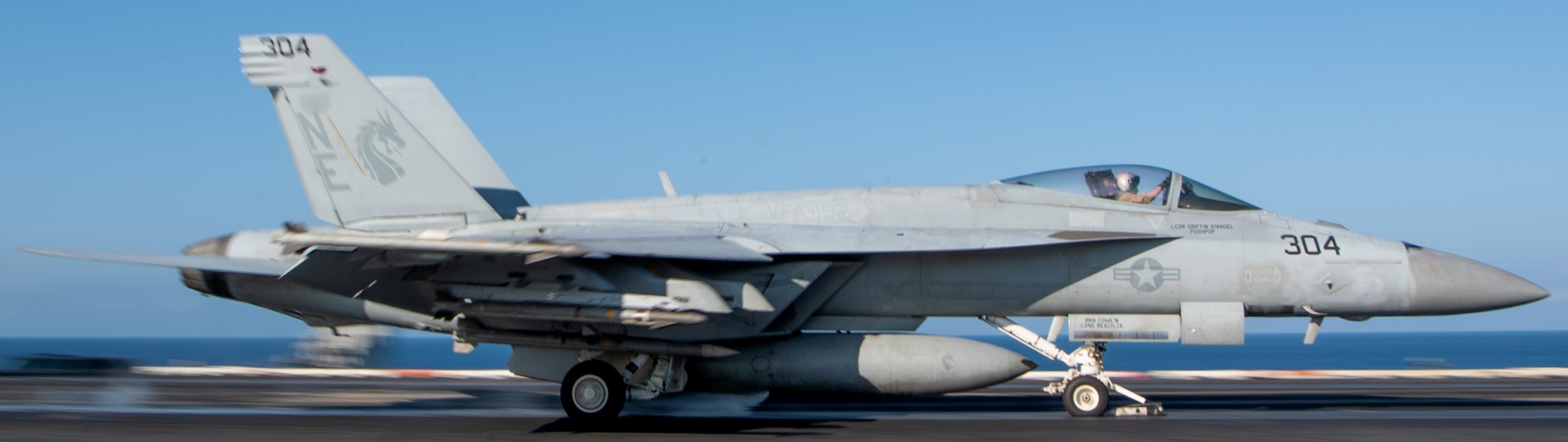 vfa-192 golden dragons f/a-18e super hornet strike fighter squadron cvn-70 uss carl vinson 226