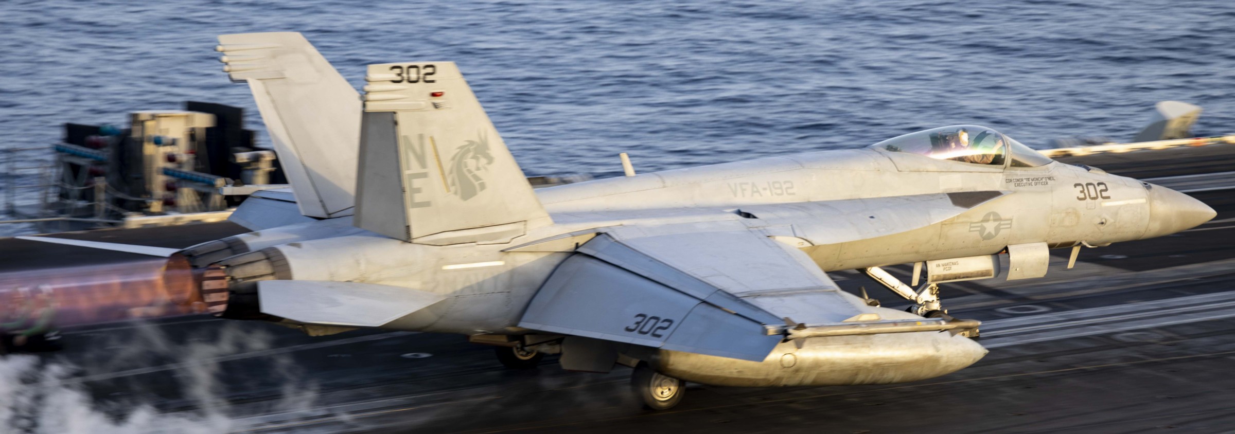 vfa-192 golden dragons f/a-18e super hornet strike fighter squadron cvn-70 uss carl vinson 231
