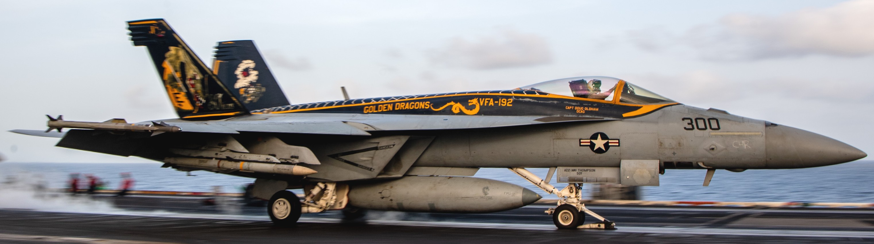 vfa-192 golden dragons f/a-18e super hornet strike fighter squadron cvn-70 uss carl vinson special livery painting 235