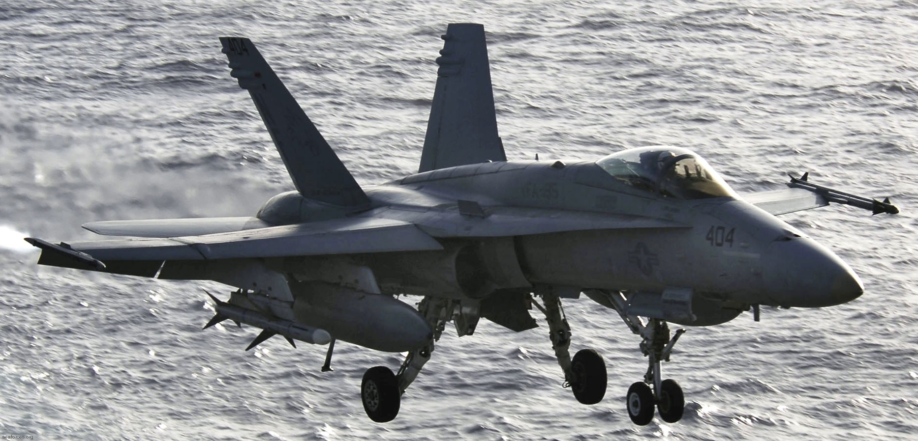 vfa-195 dambusters strike fighter squadron navy f/a-18c hornet carrier air wing cvw-5 uss kitty hawk cv-63 61