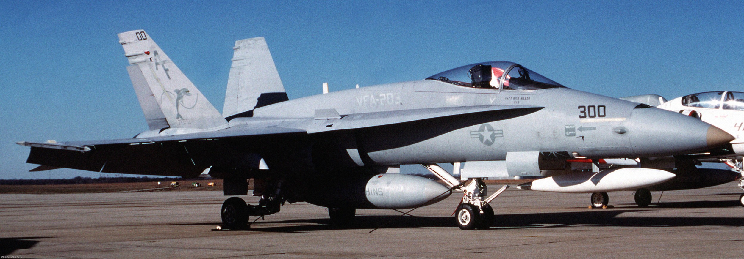 vfa-203 blue dolphins strike fighter squadron us navy reserve cvwr-20 andrews afb nas atlanta 02