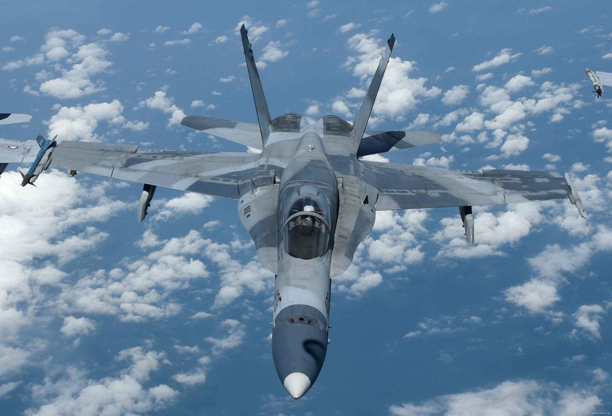 vfa-204 river rattlers f/a-18a+ hornet strike fighter squadron us navy reserve 21