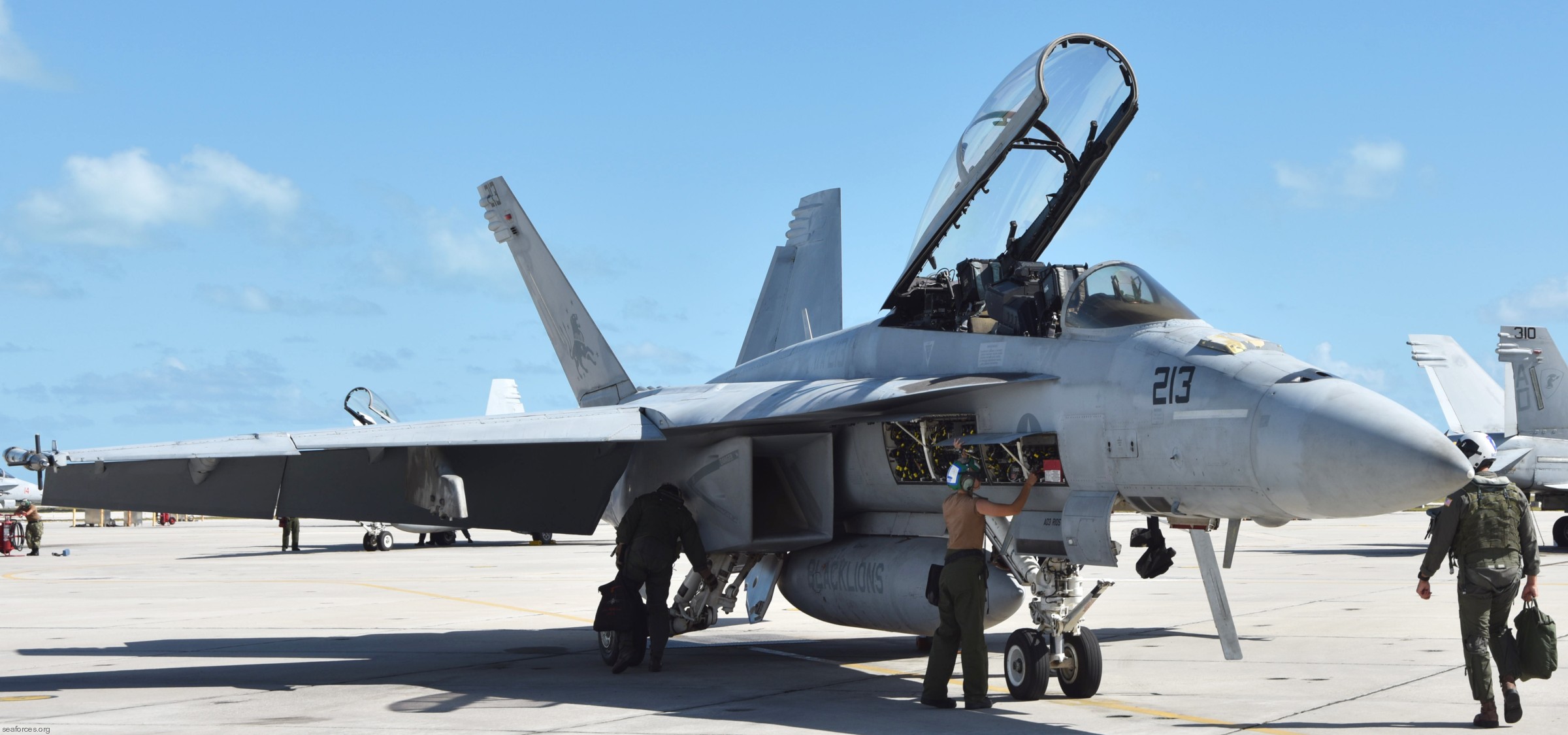 vfa-213 black lions strike fighter squadron us navy f/a-18f super hornet nas key west florida 08