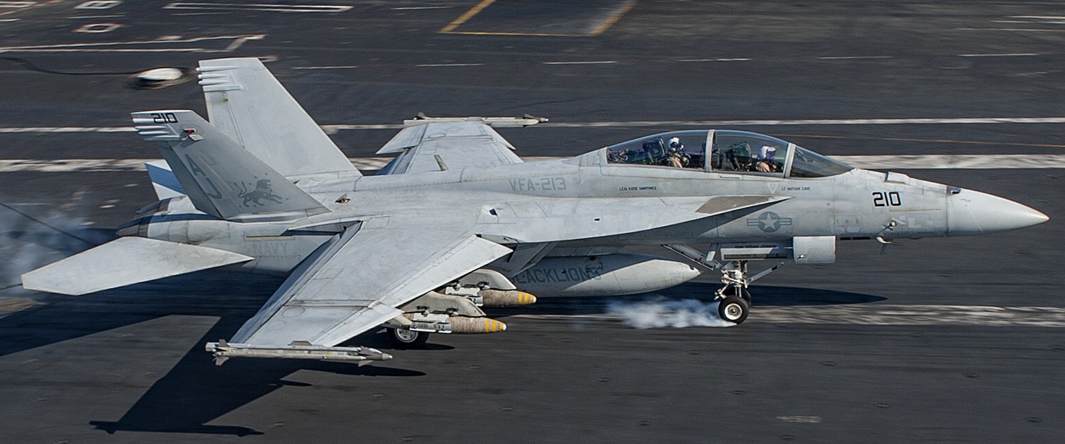 vfa-213 black lions strike fighter squadron us navy f/a-18f super hornet cvw-8 uss george h. w. bush cvn-77 24