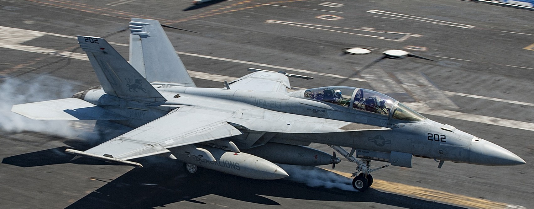 vfa-213 black lions strike fighter squadron us navy f/a-18f super hornet cvw-8 uss george h. w. bush cvn-77 25