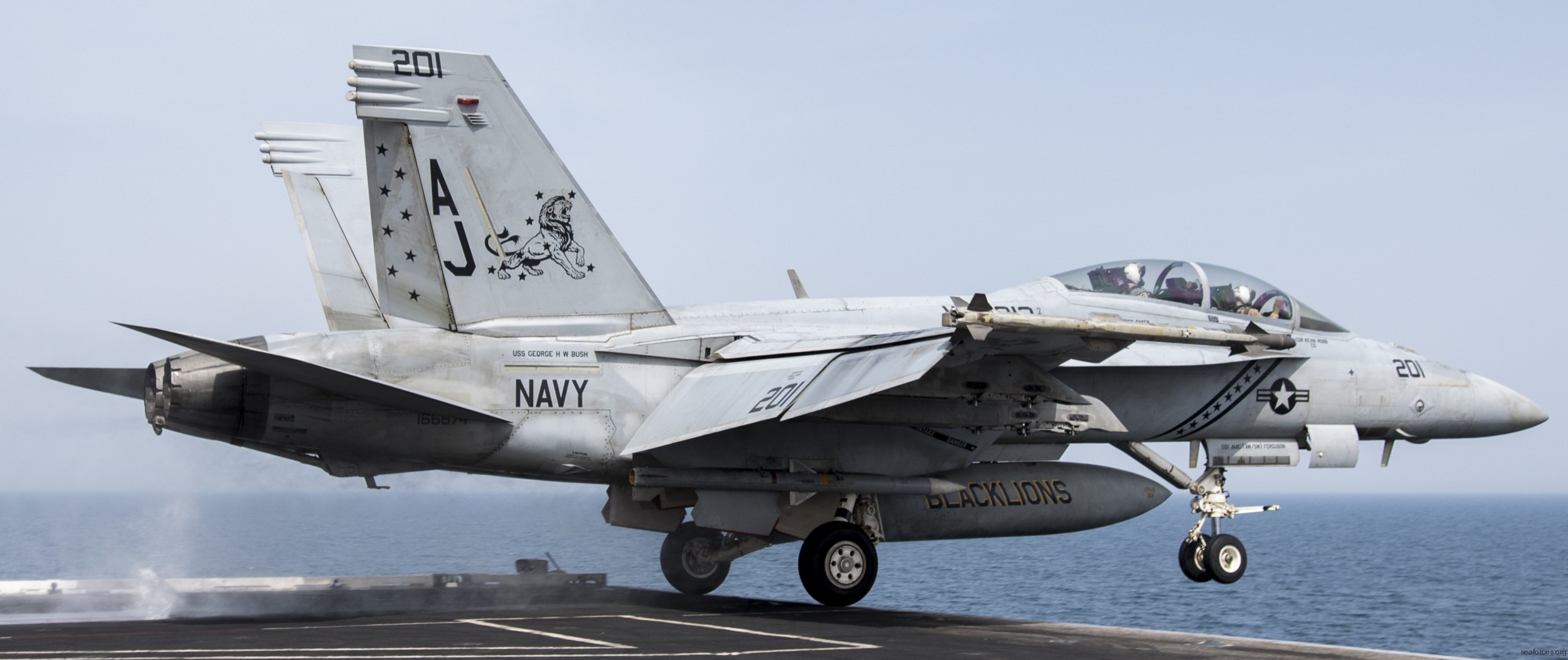 vfa-213 black lions strike fighter squadron us navy f/a-18f super hornet cvw-8 uss george h. w. bush cvn-77 44