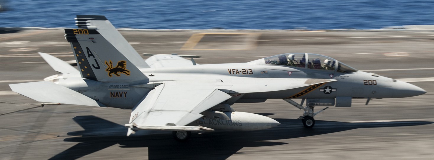 vfa-213 black lions strike fighter squadron us navy f/a-18f super hornet cvw-8 uss george h. w. bush cvn-77 72