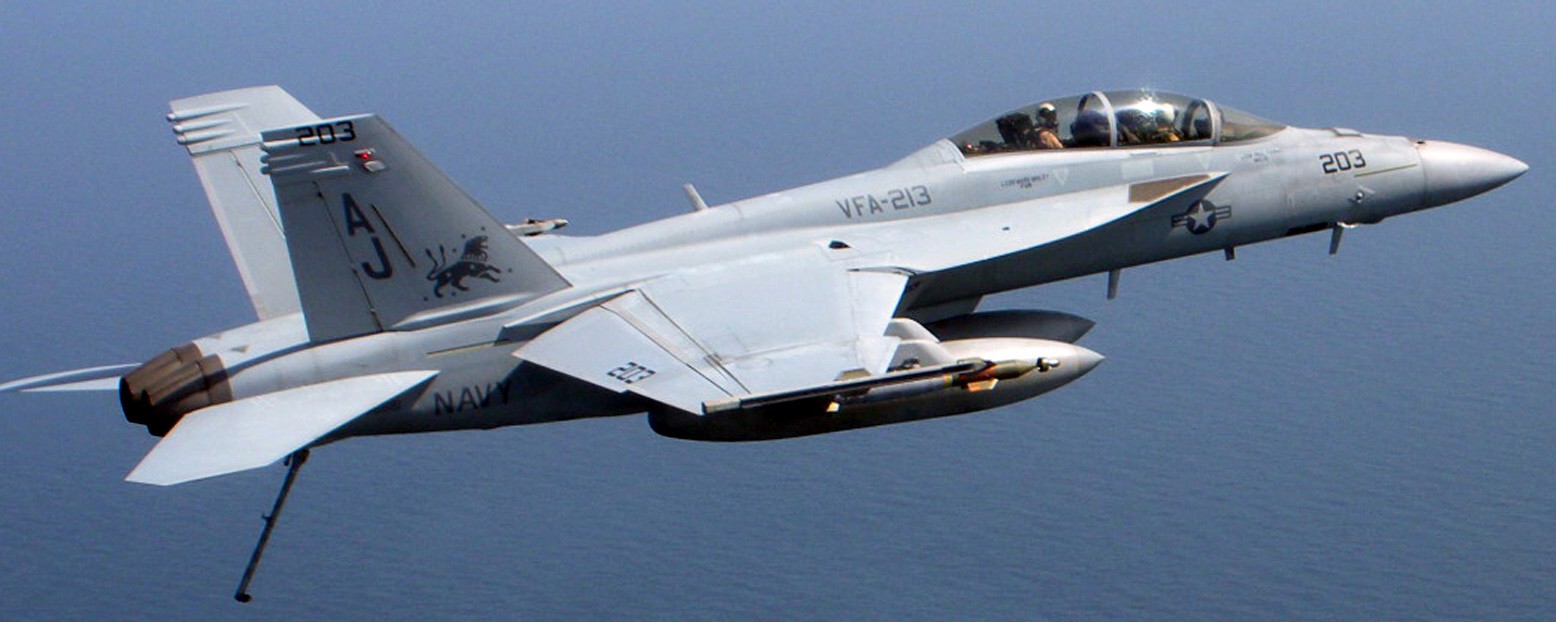 vfa-213 black lions strike fighter squadron us navy f/a-18f super hornet cvw-8 uss theodore roosevelt cvn-71 76
