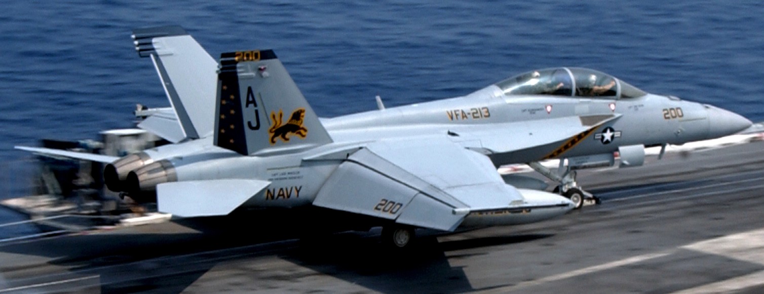 vfa-213 black lions strike fighter squadron us navy f/a-18f super hornet cvw-8 uss theodore roosevelt cvn-71 81
