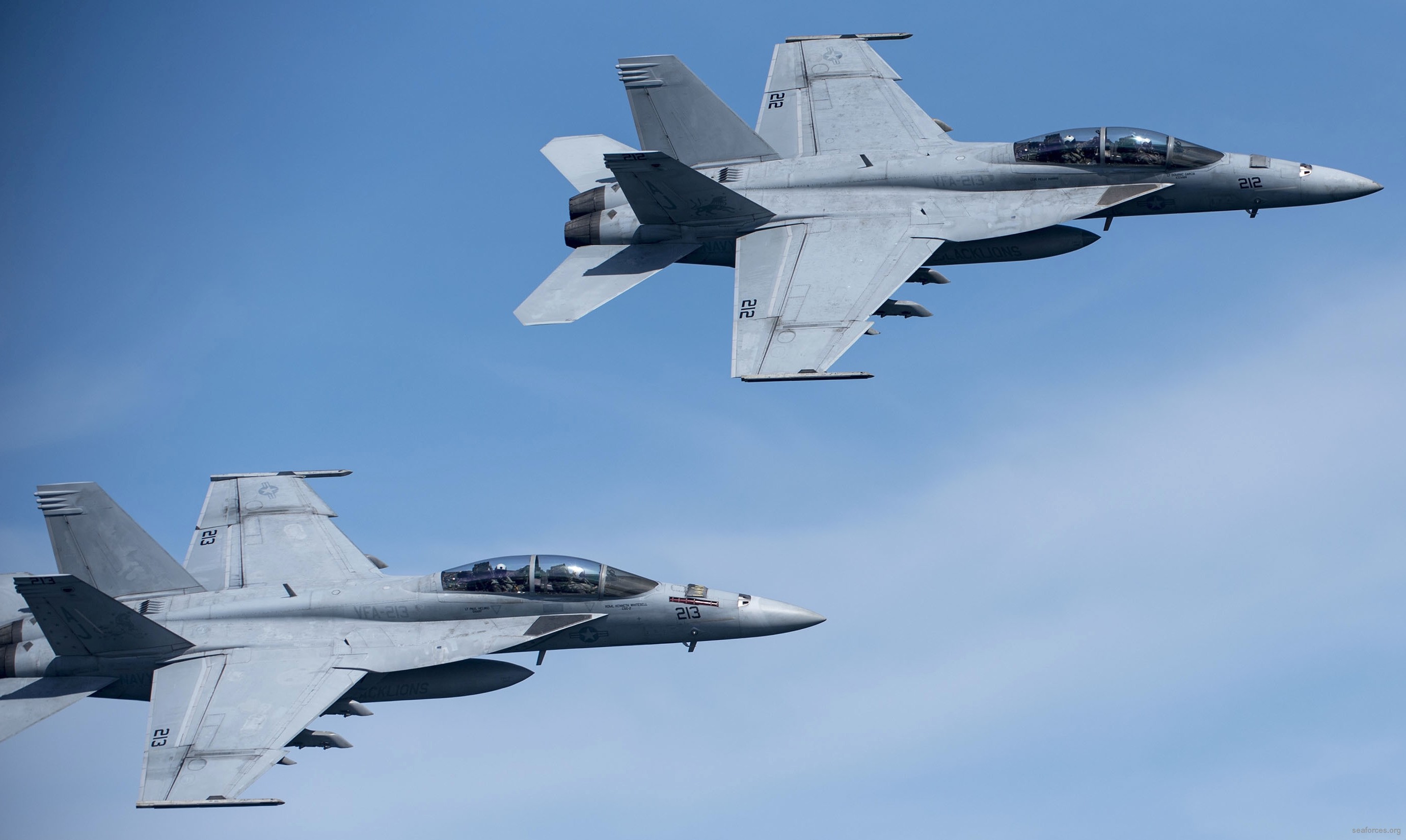 vfa-213 black lions strike fighter squadron us navy f/a-18f super hornet cvw-8 uss george h. w. bush cvn-77 110