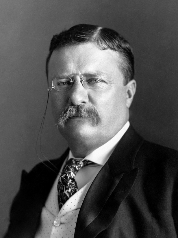 president theodore roosevelt