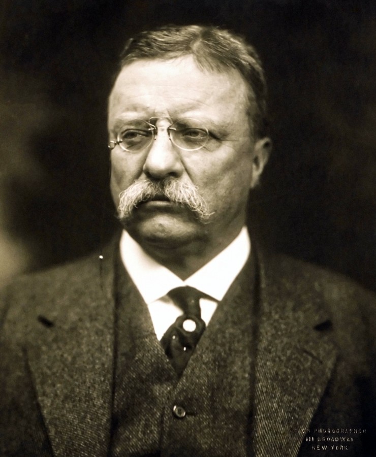 theodore roosevelt president usa