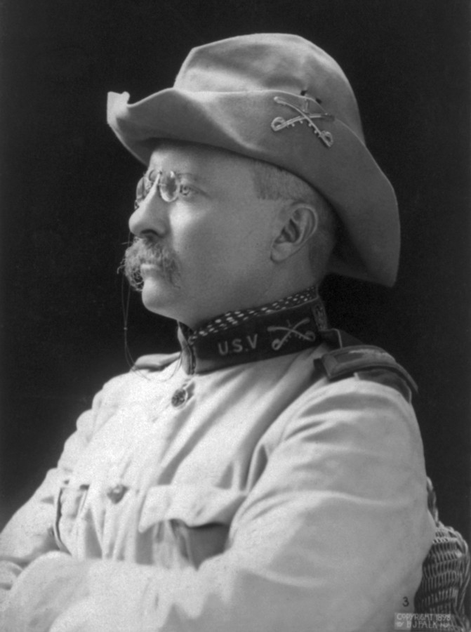 colonel theodore roosevelt president usa