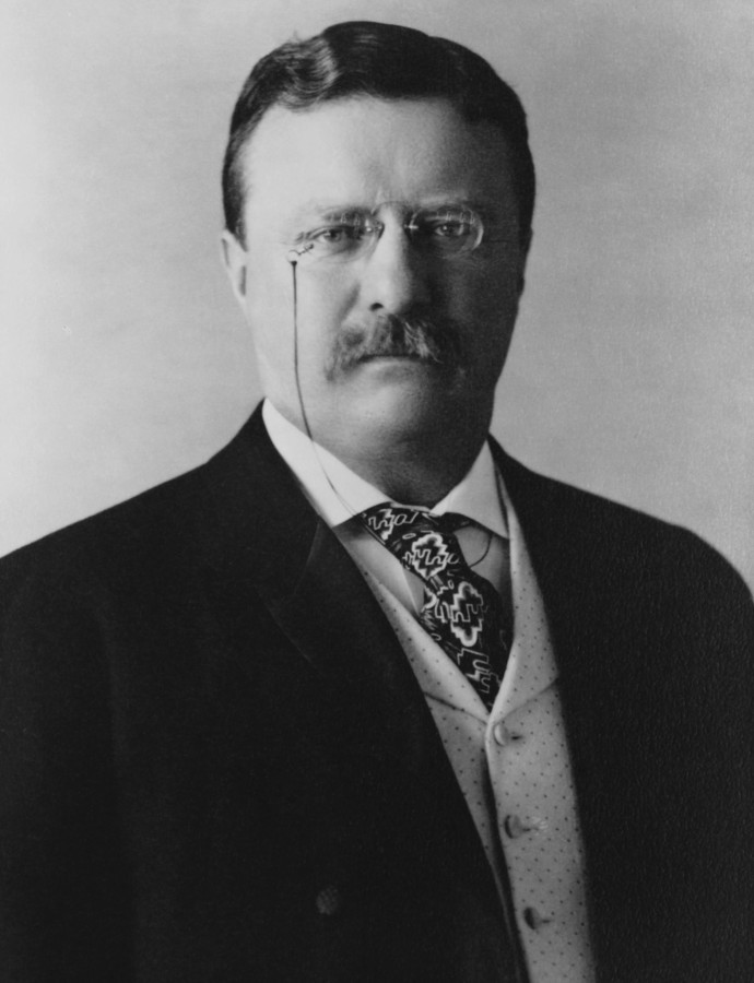 theodore roosevelt president usa uss