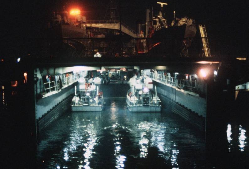 raleigh class amphibious transport dock well deck