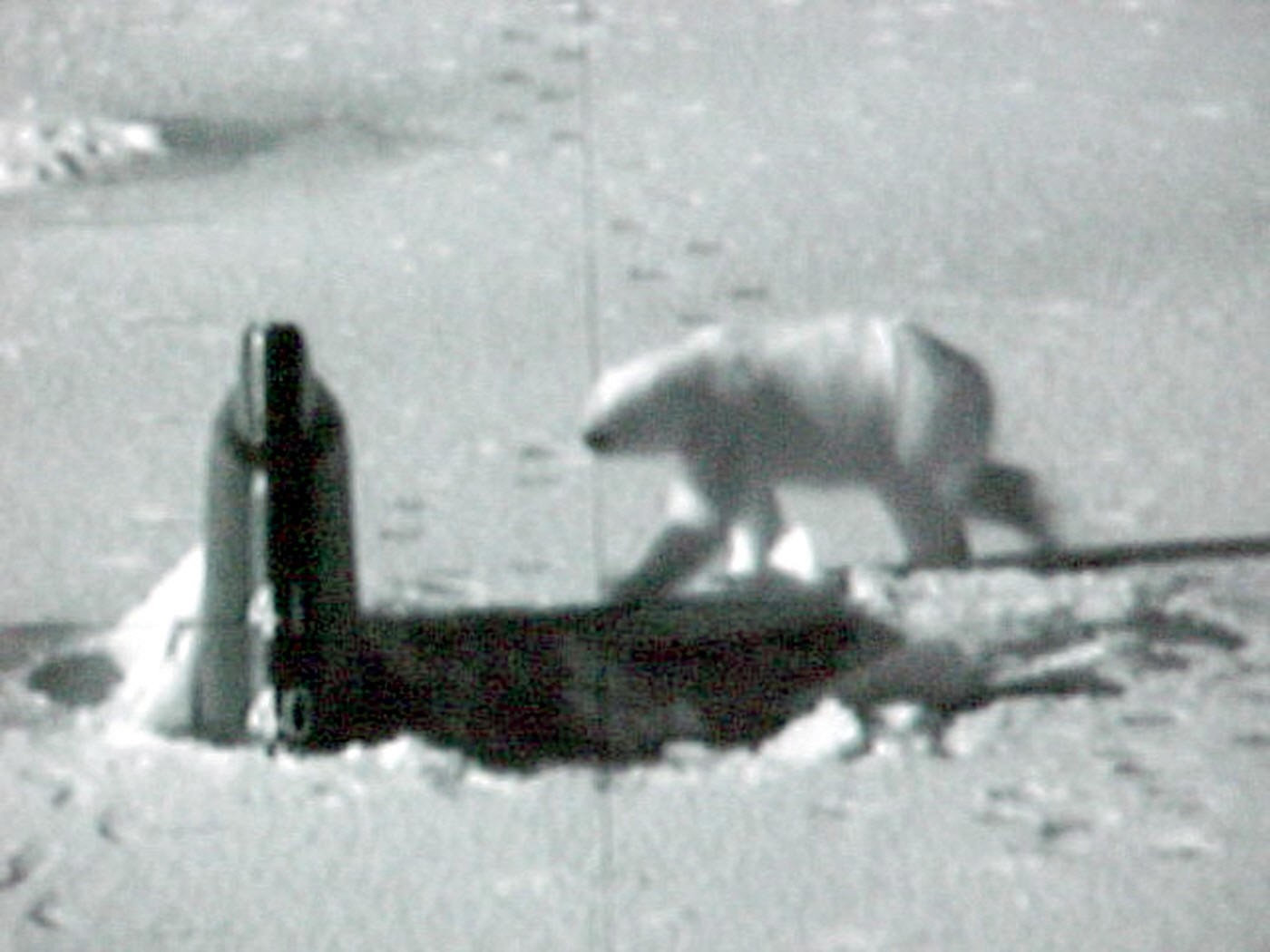 ssn-22 uss connecticut seawolf class attack submarine us navy exercise icex 03 arctic ocean 27 polar bear